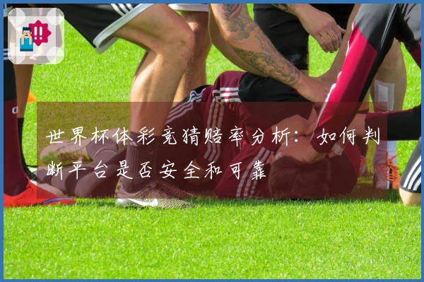 世界杯体彩竞猜赔率分析：如何判断平台是否安全和可靠