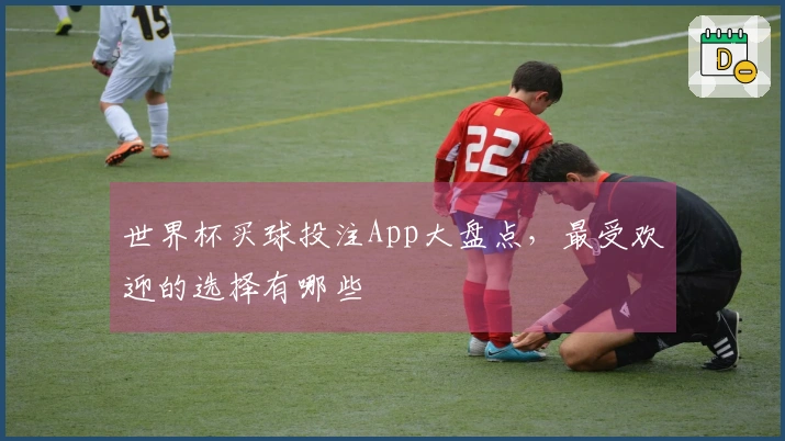 世界杯买球投注App大盘点，最受欢迎的选择有哪些