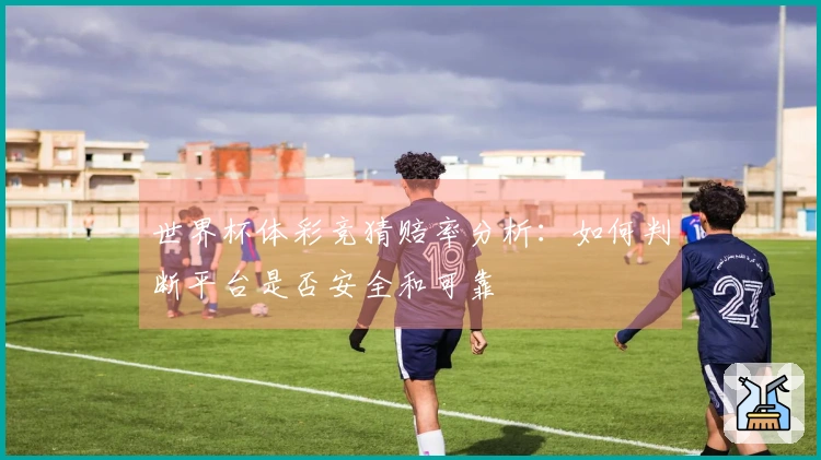 世界杯体彩竞猜赔率分析：如何判断平台是否安全和可靠