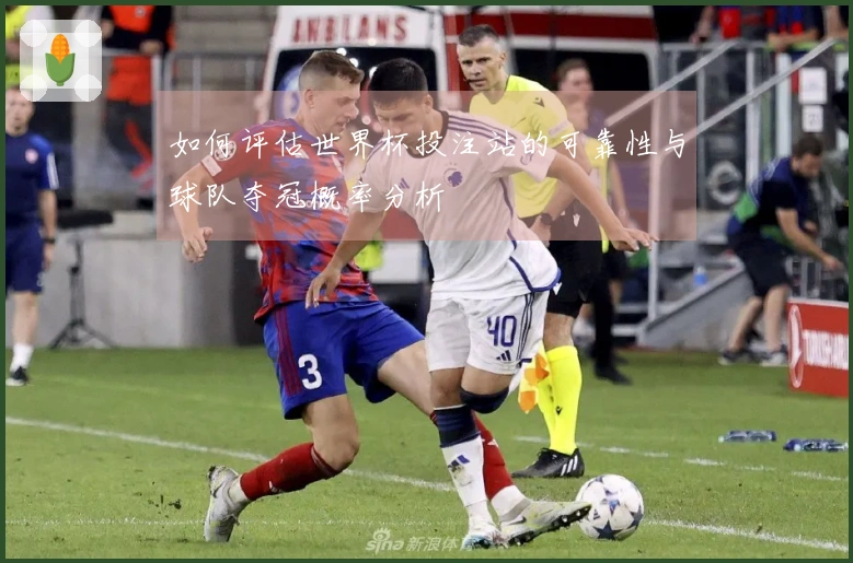 如何评估世界杯投注站的可靠性与球队夺冠概率分析