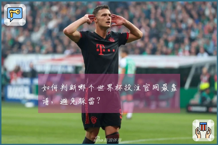 如何判断哪个世界杯投注官网最靠谱，避免踩雷？