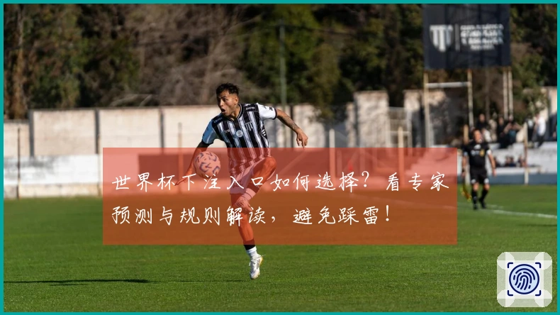 世界杯下注入口如何选择？看专家预测与规则解读，避免踩雷！