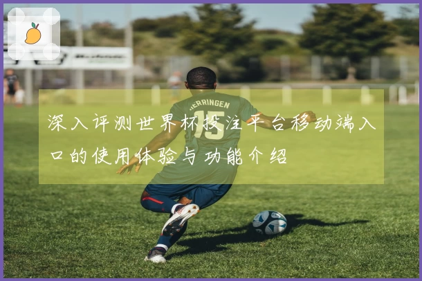 深入评测世界杯投注平台移动端入口的使用体验与功能介绍