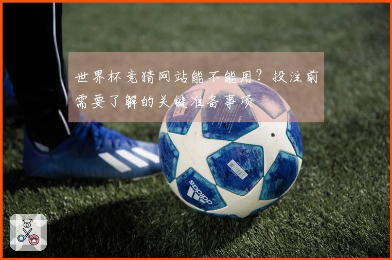 世界杯竞猜网站能不能用？投注前需要了解的关键准备事项