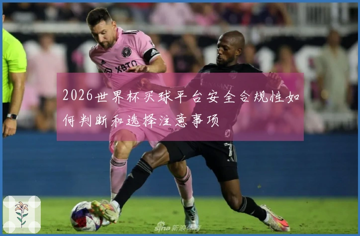 2026世界杯买球平台安全合规性如何判断和选择注意事项