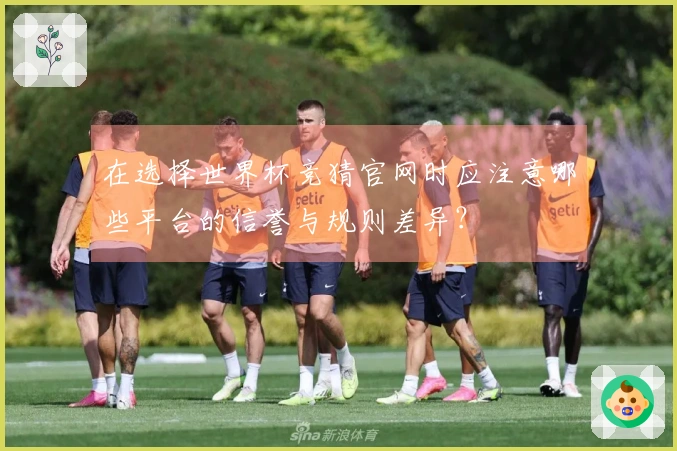 在选择世界杯竞猜官网时应注意哪些平台的信誉与规则差异？