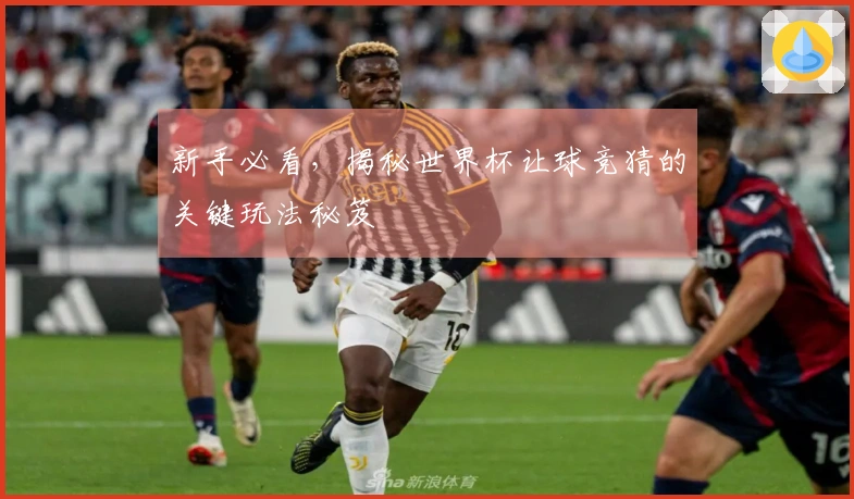 新手必看，揭秘世界杯让球竞猜的关键玩法秘笈