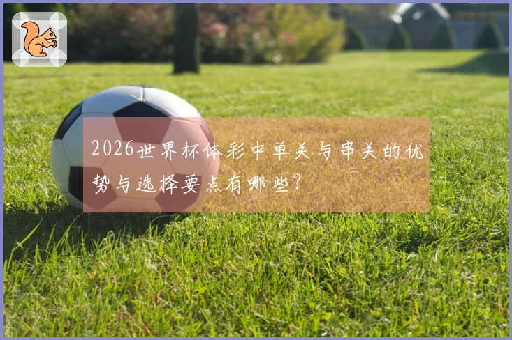 2026世界杯体彩中单关与串关的优势与选择要点有哪些？