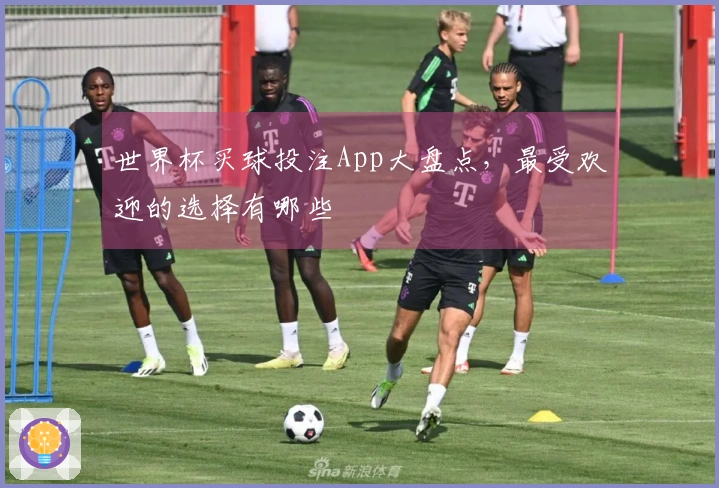 世界杯买球投注App大盘点，最受欢迎的选择有哪些