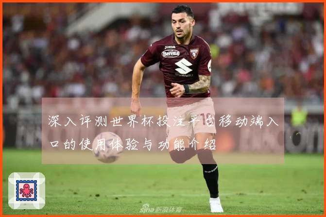 深入评测世界杯投注平台移动端入口的使用体验与功能介绍