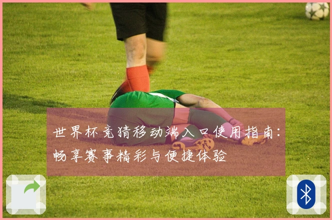 世界杯竞猜移动端入口使用指南：畅享赛事精彩与便捷体验