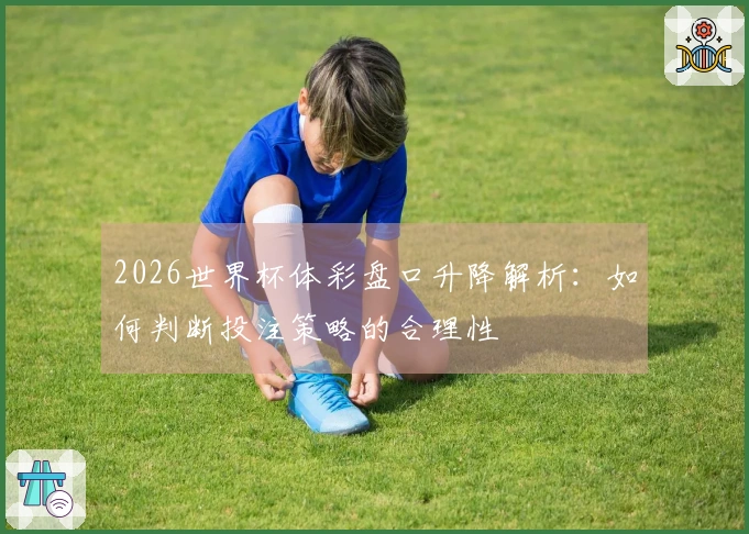 2026世界杯体彩盘口升降解析：如何判断投注策略的合理性