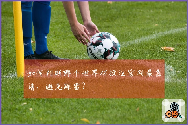 如何判断哪个世界杯投注官网最靠谱，避免踩雷？