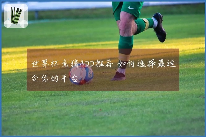 世界杯竞猜App推荐 如何选择最适合你的平台