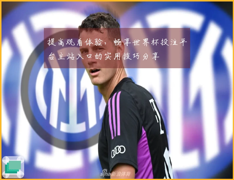 提高观看体验，畅享世界杯投注平台主站入口的实用技巧分享