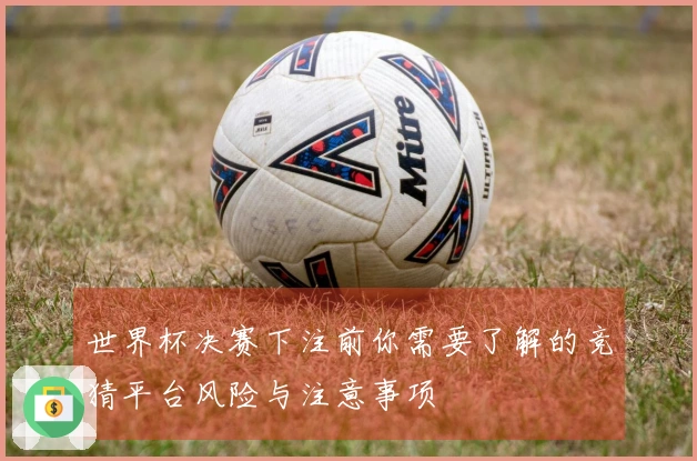 世界杯决赛下注前你需要了解的竞猜平台风险与注意事项