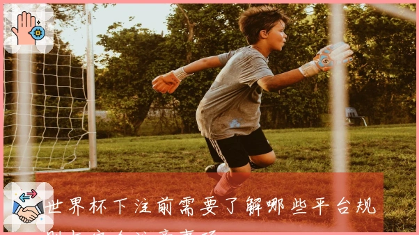 世界杯下注前需要了解哪些平台规则与安全注意事项